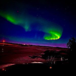 Meet your Posher, Terence